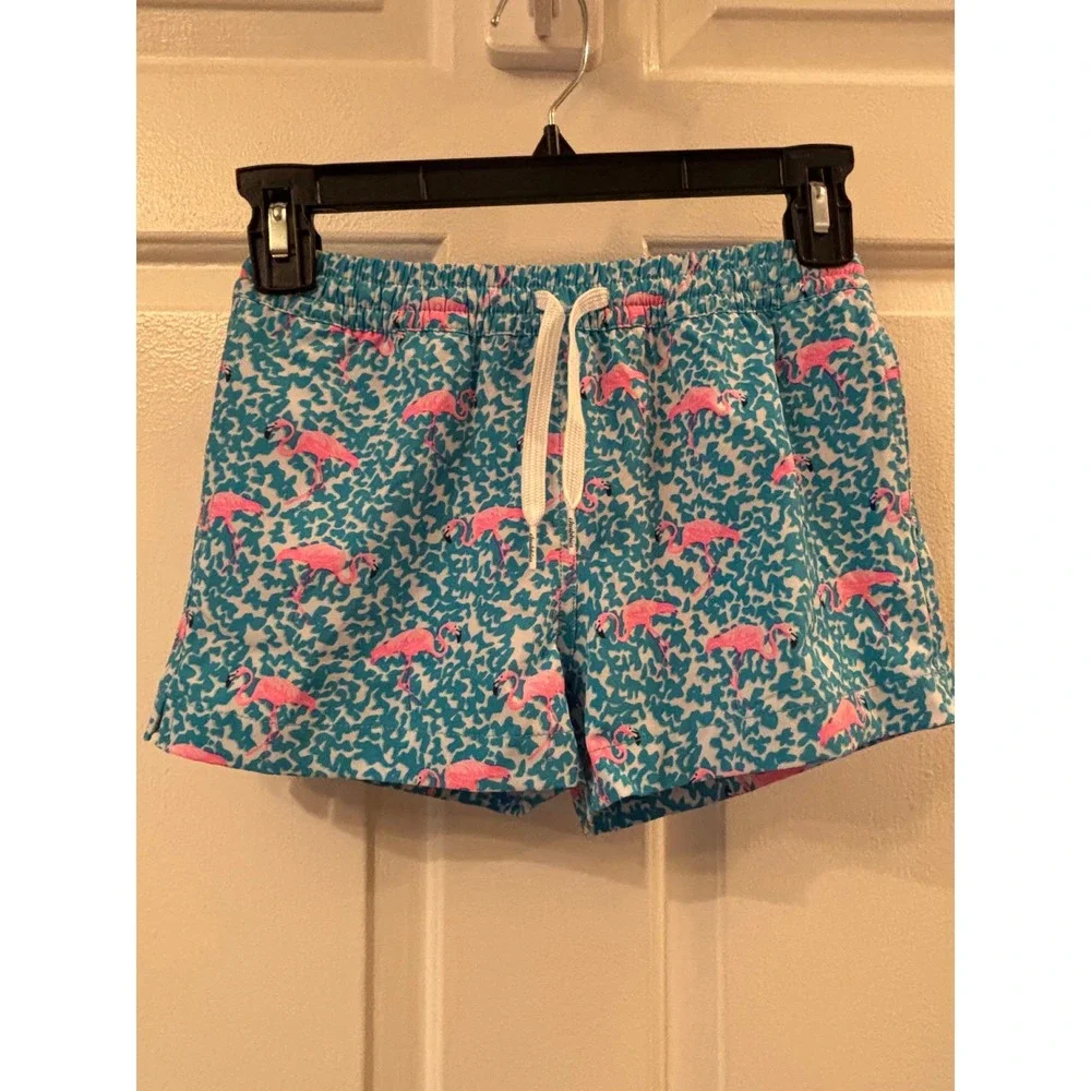 Chubbies Youth Boys Swim Trunks Pink Flamingo Teal Blue Mesh Lined Shorts XS 6/7